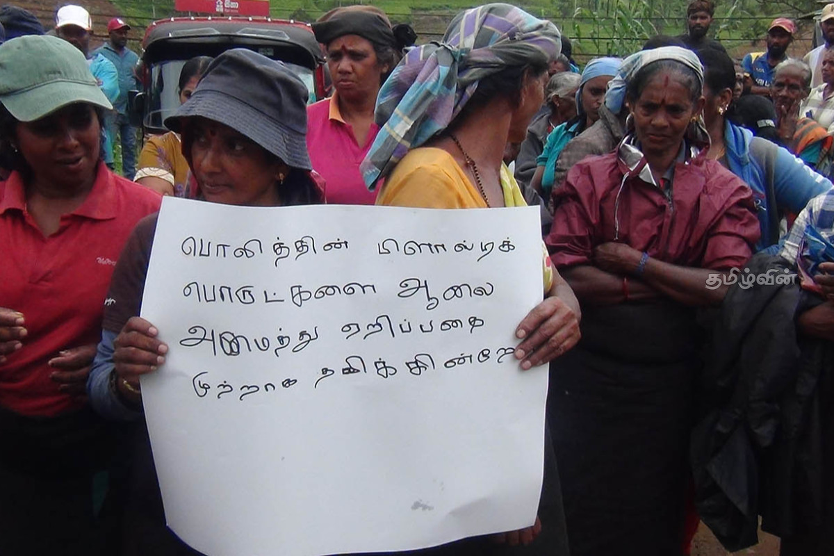 மக்கள் வாழும் பகுதிகளில் கொட்டப்படும் குப்பை: விடுக்கப்பட்டுள்ள கோரிக்கை | Garbage Dump In Hatton Residential Area Protest மக்கள் வாழும் பகுதிகளில் கொட்டப்படும் குப்பை: விடுக்கப்பட்டுள்ள கோரிக்கை | Garbage Dump In Hatton Residential Area Protest