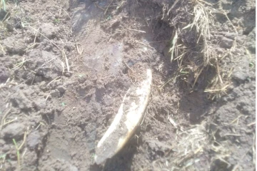 திருகோணமலையில் சட்டவிரோதமாக அமைக்கப்பட்ட மின் வேலி: விசாரணைகள் ஆரம்பம் (video)