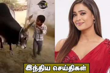 உள்ளங்கையால் வரவேற்பு அளித்த சகோதரர்கள்...உள்ளாடை குறித்து சர்ச்சையான பேச்சு! இந்திய செய்திகள்