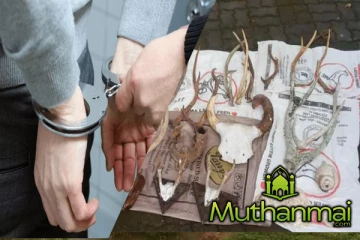 சட்டவிரோத பொருட்களை விற்க முயன்ற பாடசாலை மாணவன் உட்பட நால்வர் கைது