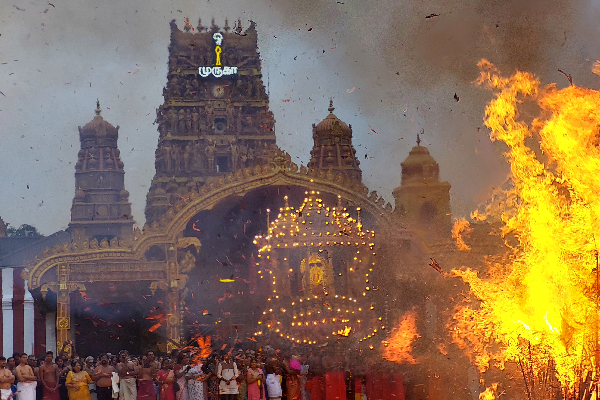 யாழ் - நல்லூர் கந்தசுவாமி ஆலயத்தின் திருக்கார்த்திகை உற்சவம் (படங்கள்) | Thirukarthikai Utsavam Nallur Kandaswamy Temple