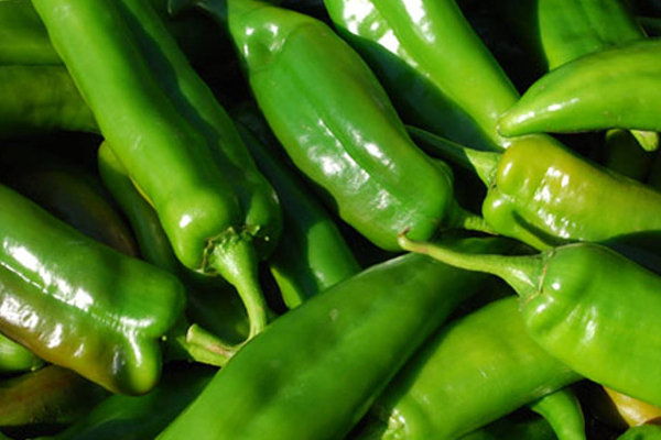 பச்சை மிளகாயின் வியக்கத்தக்க  ஆரோக்கிய நன்மைகள்! உங்களுக்கு தெரியுமா? | Amazing Health Benefits Of Green Chili