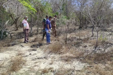 விறகுவெட்டச் சென்ற குடும்பஸ்தருக்கு ஏற்பட்ட பரிதாப நிலை!