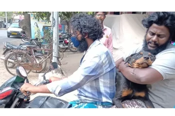 வீட்டுக்குள் நுழைந்த விஷப்பாம்பு - முதலாளி உயிரை காப்பாற்ற போராடிய நாய் - பின்பு நடந்த சோகச் சம்பவம்