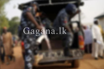 පැහැරගත් පාසල් ළමුන් 287දෙනෙකු නිදහස් කෙරේ.