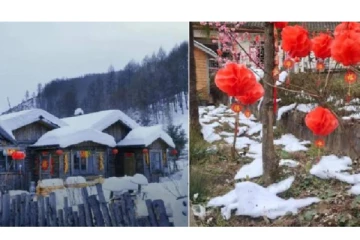 சோப்பு நுரையை வைத்து பனிப்பொழிவு.. சுற்றுலா பயணிகளை ஏமாற்றிய சம்பவம் - எங்கு தெரியுமா?