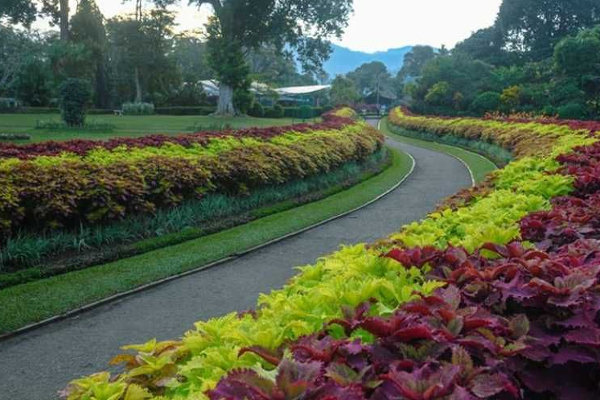 நுழைவு கட்டணம் அதிகரிப்பு! ஆனால் இவர்களுக்கு விலக்கு | Botanical Garden Entry Fee Increase