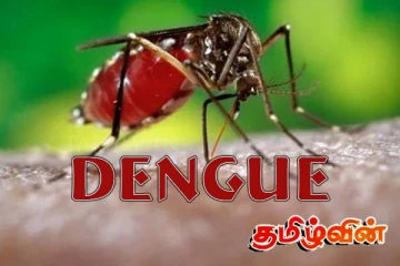 டெங்கு தாக்கமுள்ள இடங்கள் குறித்து வலிகாமம் தென்மேற்கு பிரதேச சபை எடுத்துள்ள தீர்மானம்