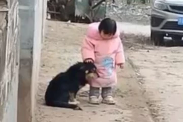 படபடத்தப் பட்டாசு.. பூங்கா அருகே சுருண்டு விழுந்த நாய் ! உதவிய குட்டி தேவதை!