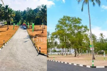 කොළඹින් ඉඩමක් ගන්න හීන මැව්වද? එහෙනම් මේක ඔබට ගොඩක් වැදගත් වෙයි.