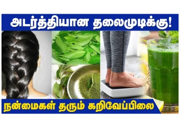 அடர்த்தியான தலைமுடிக்கு  - நன்மைகள் தரும் கறிவேப்பிலை