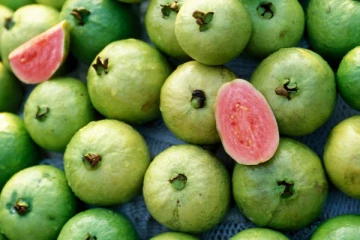 மறந்தும்கூட இவர்கள் கொய்யா பழத்தை சாப்பிட வேண்டாம்? ஆபத்துகள் என்ன தெரியுமா?