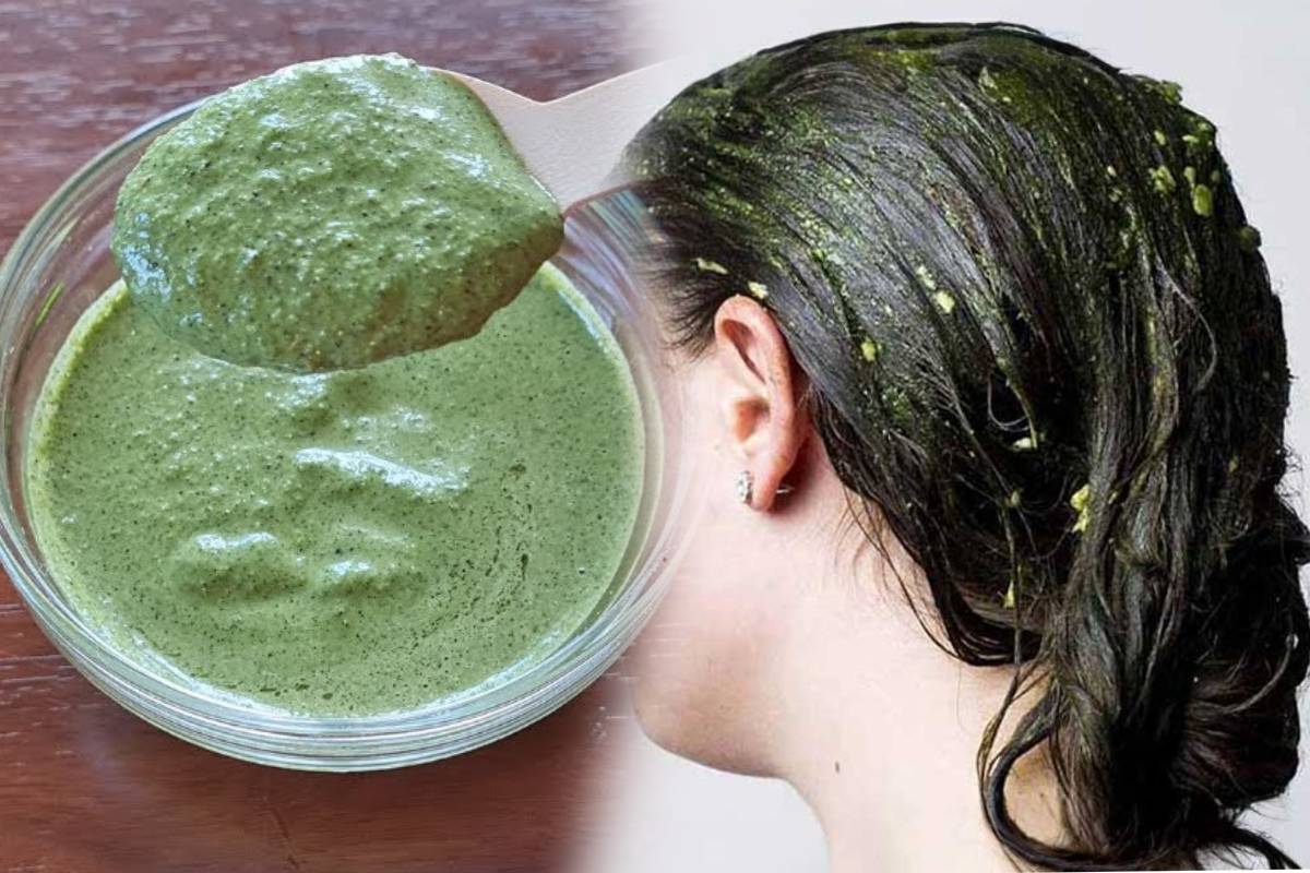 முழங்கால் வரை முடி வளர உதவும் கறிவேப்பிலை.., எப்படி பயன்படுத்துவது? | Homemade Natural Hair Pack For Hair Growth