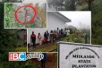 மாத்தளையில் மண்சரிவு அபாயம்: அவதியில் சிக்கியுள்ள இடம்பெயர்ந்த மக்கள்!