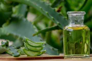 முடி அடர்த்தியாக செழித்து வளர உதவும் கற்றாழை எண்ணெய் - எப்படி தயாரிப்பது?