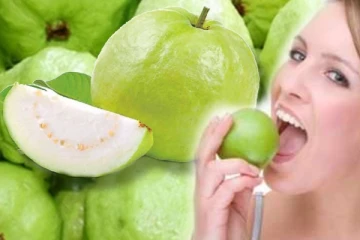 அடேங்கப்பா.. தினமும் கொய்யா சாப்பிட்டு வந்தால் இவ்வளவு நன்மை கிடைக்குமாம்!