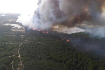 ஸ்பெயினில் உள்ள தீவில் ஏற்பட்ட காட்டுத்தீ! தீவிரமாக வேறியேற்றப்படும் மக்கள்