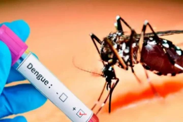 டெங்கு நோயாளர்களின் எண்ணிக்கை அதிகரிப்பு