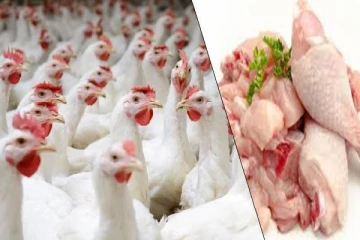 கோழி இறைச்சியின் விலை குறைப்பு