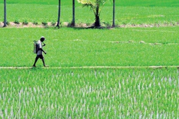 விவசாயிகளின் பிரச்சினைகளுக்கு தீர்வு -அமைச்சர் வெளியிட்ட அறிவிப்பு