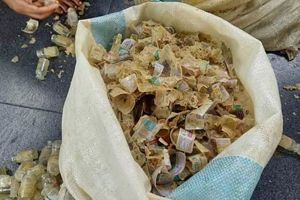 குளத்தில் வீசப்பட்ட பெருமளவு மருந்து குப்பிகள் மீட்பு : விரைந்து செயற்பட்ட அதிகாரிகள் | 5000 Medicinal Vial With Royal Seal Thelambiyagama