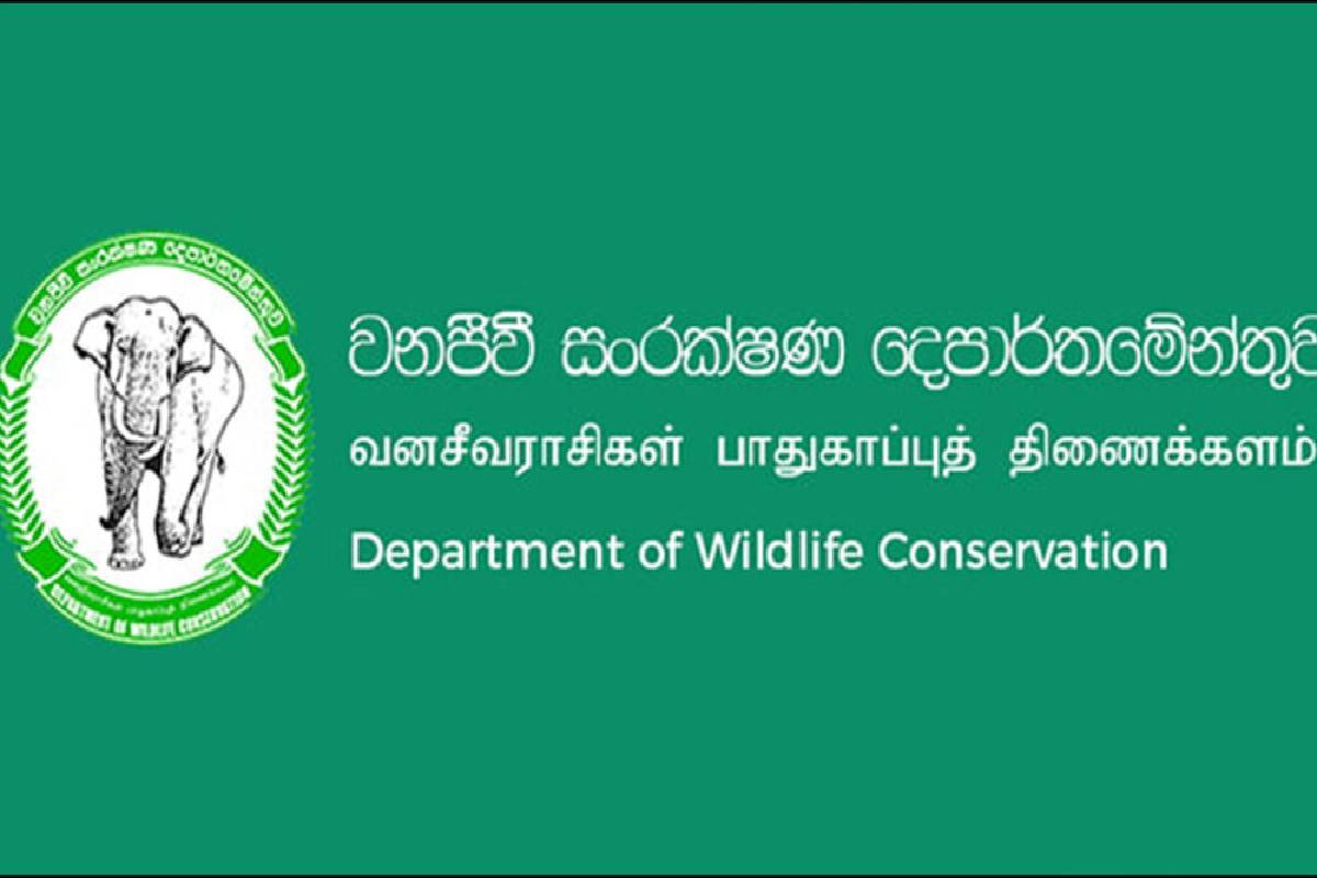 வடக்கு, கிழக்கு கரையோரப் பகுதிகள் குறித்து அநுரவின் உத்தரவு | Protect The Northern And Eastern Coastal Areas