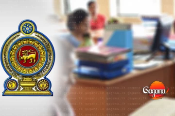 රජයේ මේ ලොකු පුටුවට ආයේ තෝර ගන්නේ මේ විදිහට - සුදුසුකම් සංශෝධනයක්