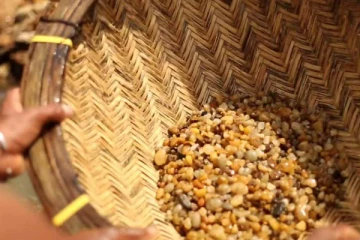 மாணிக்கக்கல் அகழ்வில் ஈடுபட்ட இருவர் சிக்கினர்