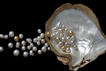 முத்து ஆபரணம் யார் அணியலாம்?யார் அணியக்கூடாது?