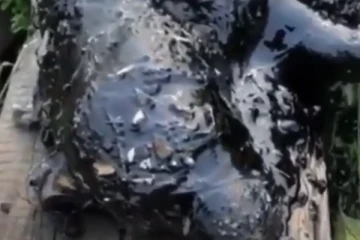 தாரில் சிக்கி உயிருக்குப் போராடிய  குட்டியை காப்பாற்ற மனிதர்களை உதவிக்கு அழைத்த நாய்! கண்ணீர் சிந்த வைத்த தாய்ப்பாசம்!