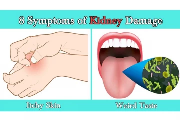 இந்த அறிகுறிகள் உங்களுக்கு இருக்கா? சிறுநீரகம் ஆபத்தான நிலையில் உள்ளது