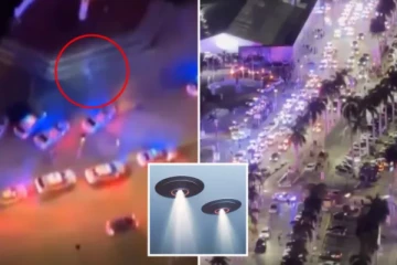 10 அடி ஏலியன் வந்தது உண்மை தானா..? போலீசார் தந்த ரிப்போட்டால் அதிர்ச்சியில் மக்கள் ..!