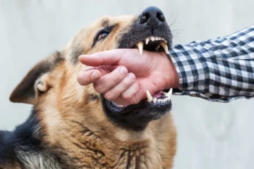 இலங்கையில் விசர்நாய் கடியை முற்றாக ஒழித்த முதல் மாவட்டம்