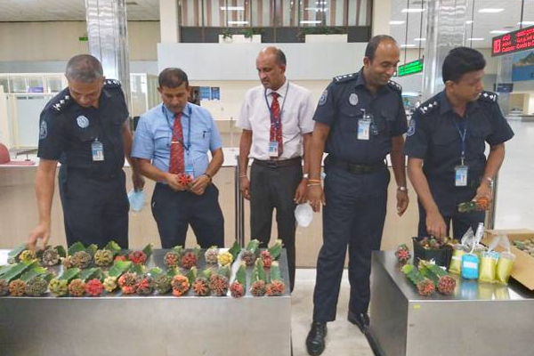 கட்டுநாயக்காவில் கைப்பற்றப்பட்ட அரியவகை பொருட்கள்! | Katunayake Airport Foreign Customs Fish Penalty கட்டுநாயக்காவில் கைப்பற்றப்பட்ட அரியவகை பொருட்கள்! | Katunayake Airport Foreign Customs Fish Penalty