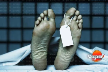 බඹර ප්‍රහාරයකට ලක්ව දෙදරු මවක් මිය යයි