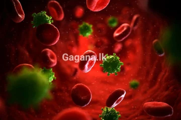 ලෝකයක් බිය ගන්වන ඉන්ෆ්ලූවන්සා වෛරස් එන්නත් සංයුතිය සදහා නිර්දේශ ප්‍රකාශ කෙරේ..!