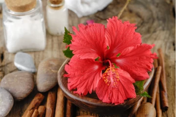 முகம் தங்கம் போல் மின்ன வேண்டுமா? செம்பருத்தி பூவே போதும்