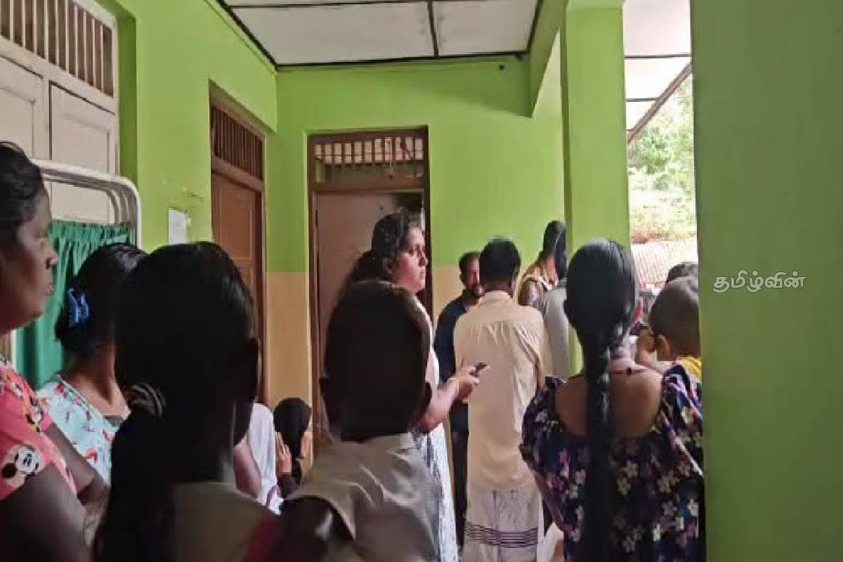 குளவிக் கொட்டுக்கு இலக்கான 30 மாணவர்கள் வைத்தியசாலையில் அனுமதி | 30 Students Admitted To Hospital குளவிக் கொட்டுக்கு இலக்கான 30 மாணவர்கள் வைத்தியசாலையில் அனுமதி | 30 Students Admitted To Hospital