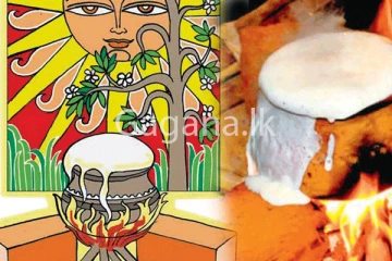 නැකතට උතුරවන්නේ එළකිරිද? පොල්කිරිද? - (VIDEO)