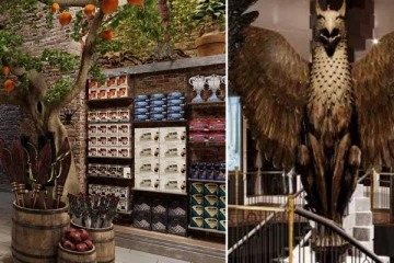 நியூயார்கில் திறக்கப்பட உள்ள ஹாரி பாட்டர் கடை