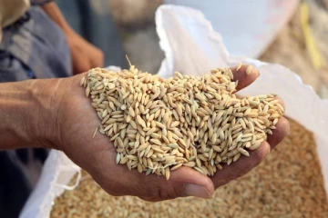 முதல் தடவையாக பட்டினியால் வாடும் நாடுகளின் பட்டியலில் இடம்பிடித்த இலங்கை!