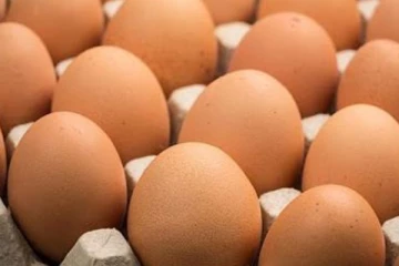 බිත්තර මිල ගැන තීරණයක්.