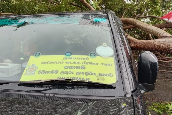 யாழில் தவிசாளரின் வாகனத்தின் மீது விழுந்த மரம்; தெய்வாதீமனாக தப்பிய உயிர்கள் | Tree Fell Pradeshiya Sabha Vehicle Jaffna