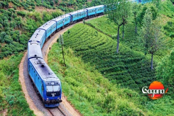 මේ දුම්රිය ගමන් වාර අවලංගුයි