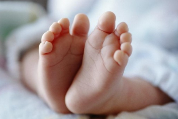 யாழில் 7 மாதக் குழந்தை பரிதாபமாக உயிரிழப்பு! | 7 Month Old Baby Dies Of Heart And Lung Disease