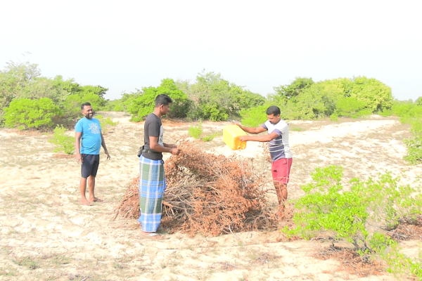 சட்டவிரோத செயற்பாடுகளுக்கு எதிராக கட்டைக்காடு இளைஞர்களின் முன்மாதிரியான நடவடிக்கை | Exemplary Action By Kattai Kadu Youth சட்டவிரோத செயற்பாடுகளுக்கு எதிராக கட்டைக்காடு இளைஞர்களின் முன்மாதிரியான நடவடிக்கை | Exemplary Action By Kattai Kadu Youth