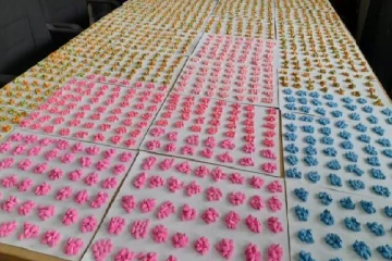 நெதர்லாந்தில் இருந்து தபாலில் அனுப்பி வைக்கப்பட்ட பல கோடி ரூபா பெறுமதியான போதை மாத்திரைகள்