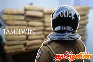 யாழில் 32 மில்லியன் ரூபா பெறுமதியான கேரள கஞ்சா மீட்பு