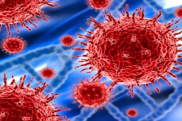 கோவிட் -19 வைரஸின் புதிய திரிபு காரணமாக நாட்டில் ஏற்பட்டுள்ள நிலமை! கடுமையாக அமுலாகும் சட்டம்