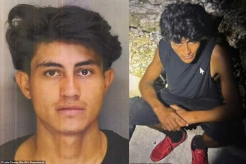 14 வயது சிறுமி மீது கத்திக்குத்து தாக்குதல்! நாடு கடத்தப்பட்ட புலம்பெயர் இளைஞர் கைது